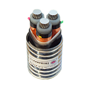 YJLHS、YJLHV22、YJLHV 8.7/15KV 中壓稀土高鐵鋁合金電纜